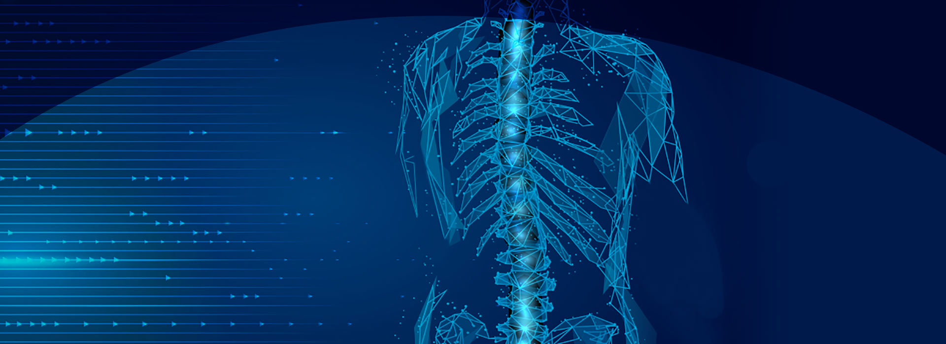 digital graphic of spine