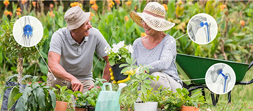 older couple gardening together