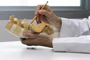 Doctor examines vertebrae on model.